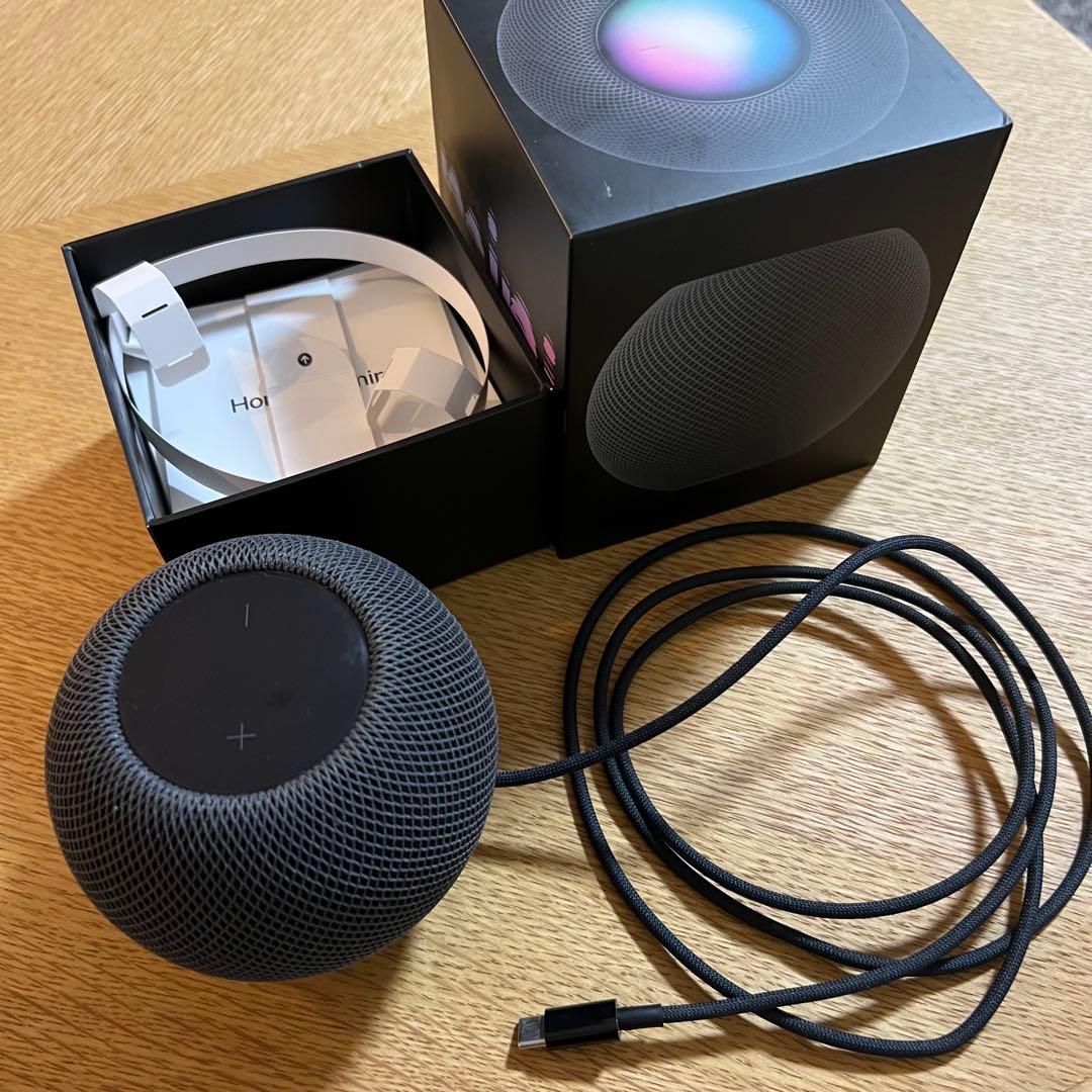2020 Apple Pod mini スペースグレー