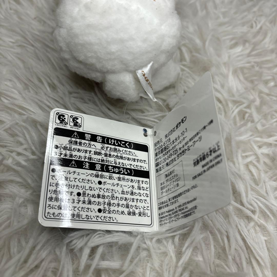 【未使用】ポケモンセンター　オーロラツアー　ピカだるま　オスVer.