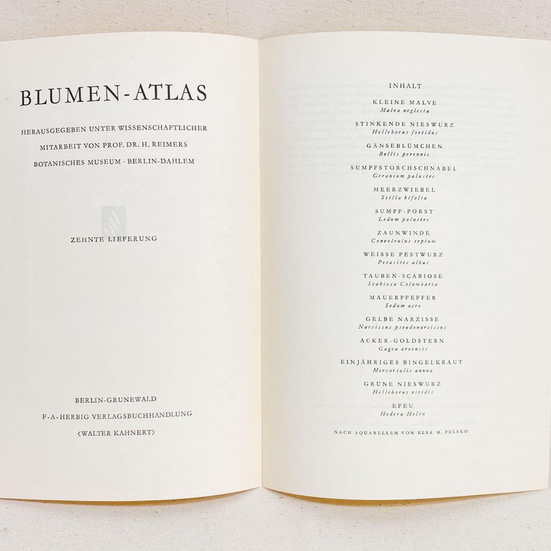 ⑩ 美しい植物画 プレート15枚 1952年 Elsa Felsko