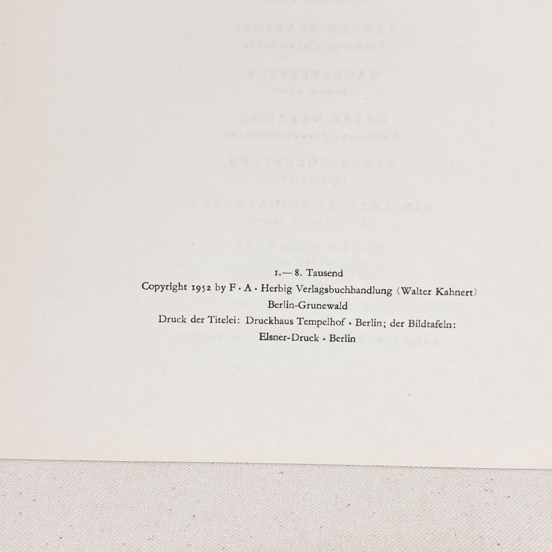 ⑩ 美しい植物画 プレート15枚 1952年 Elsa Felsko