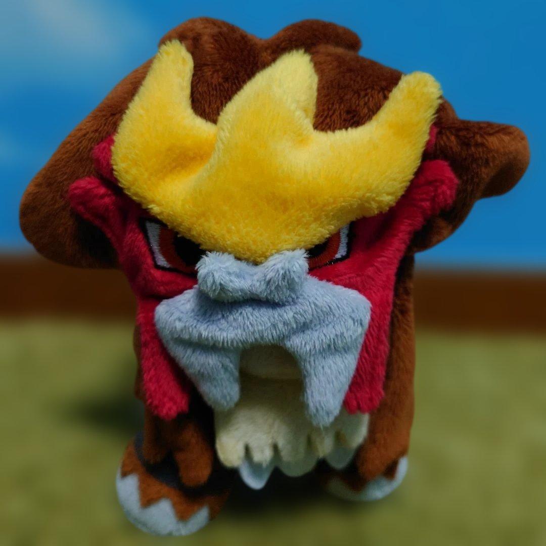 2009ポケモンセンター　ぬいぐるみ　ライコウ　スイクン　エンテイ