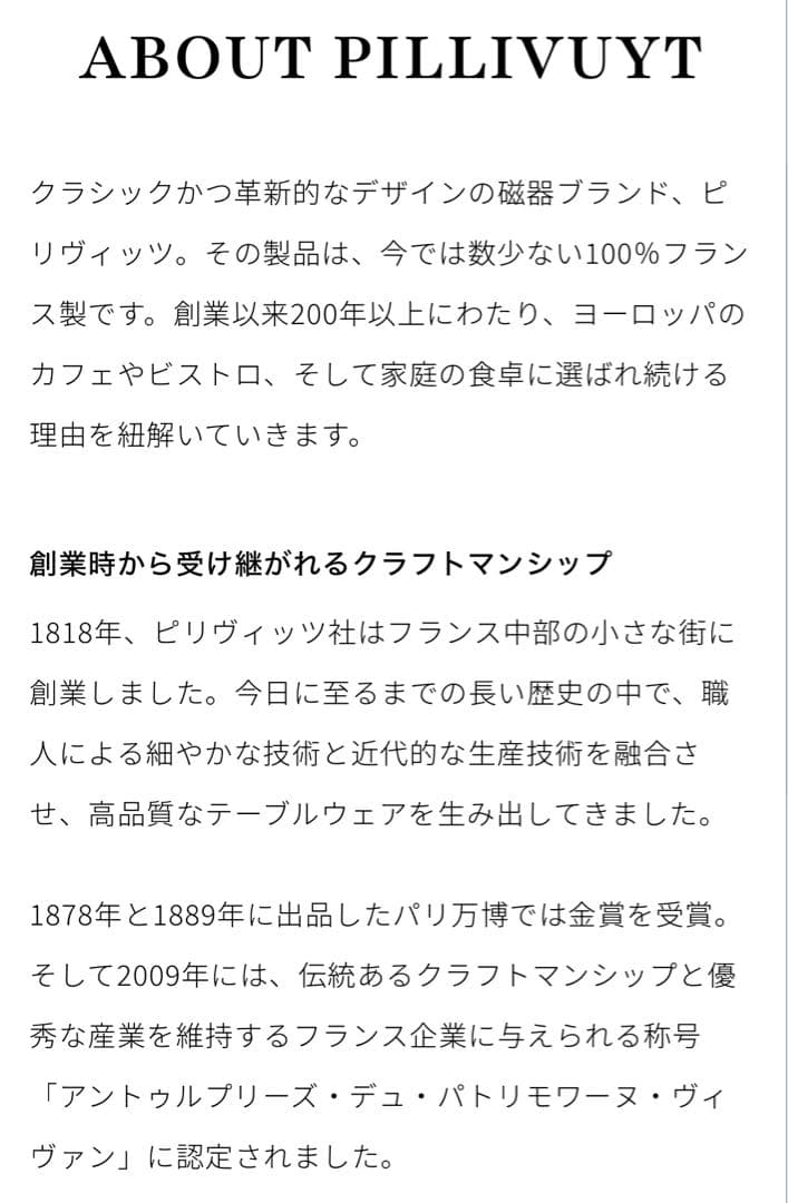 【レア品】PILLIVUYT 四角形皿　大皿　2枚セット