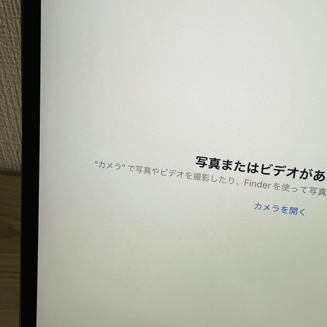 iPad Pro 10.5インチ Cellular 256GB A1709