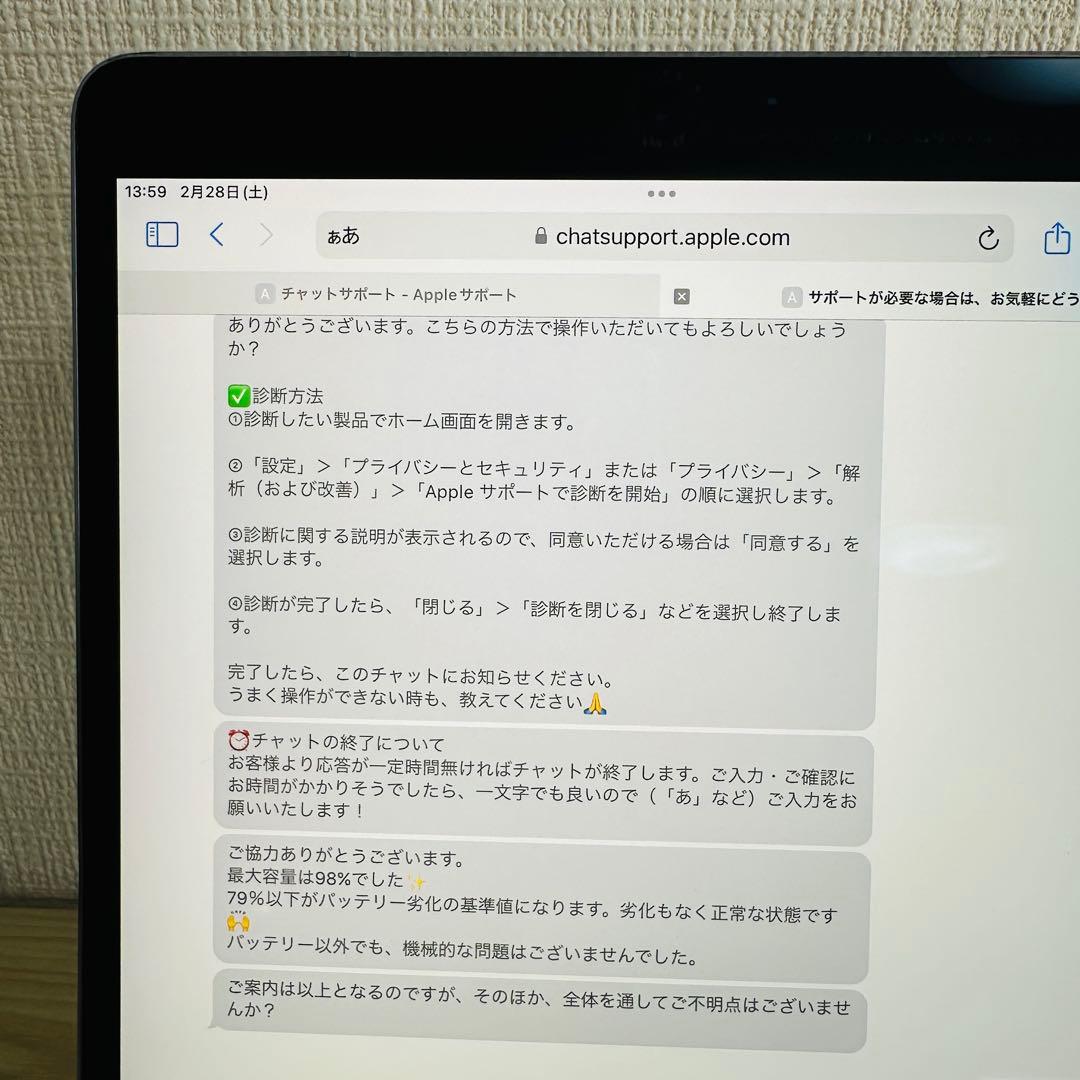 iPad Pro 10.5インチ Cellular 256GB A1709