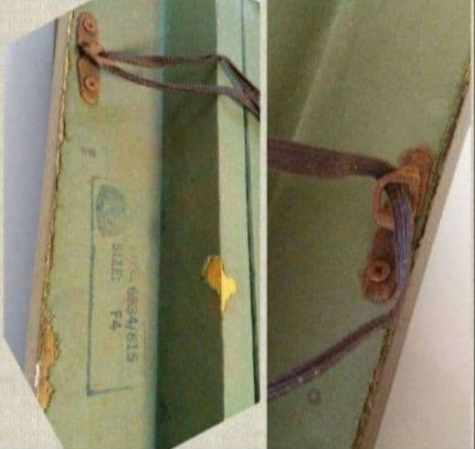 油彩画【 F4 】【蝶】ヴィンテージ アンティーク 額縁