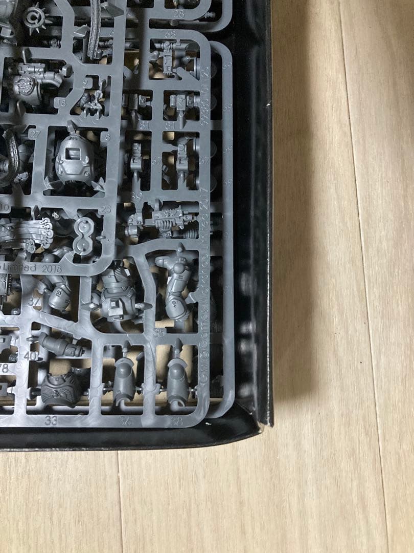 ウォーハンマー space marines scions of macragge