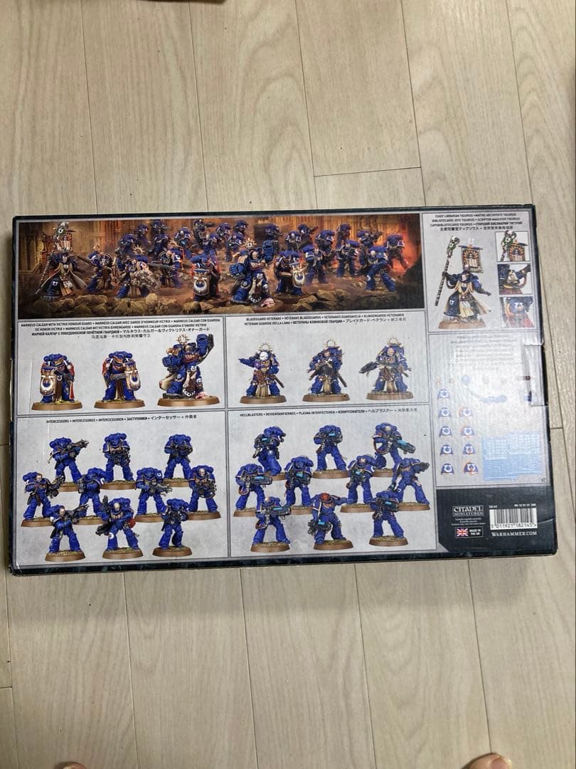 ウォーハンマー space marines scions of macragge