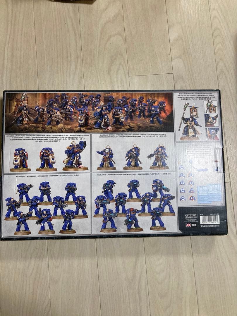 ウォーハンマー space marines scions of macragge