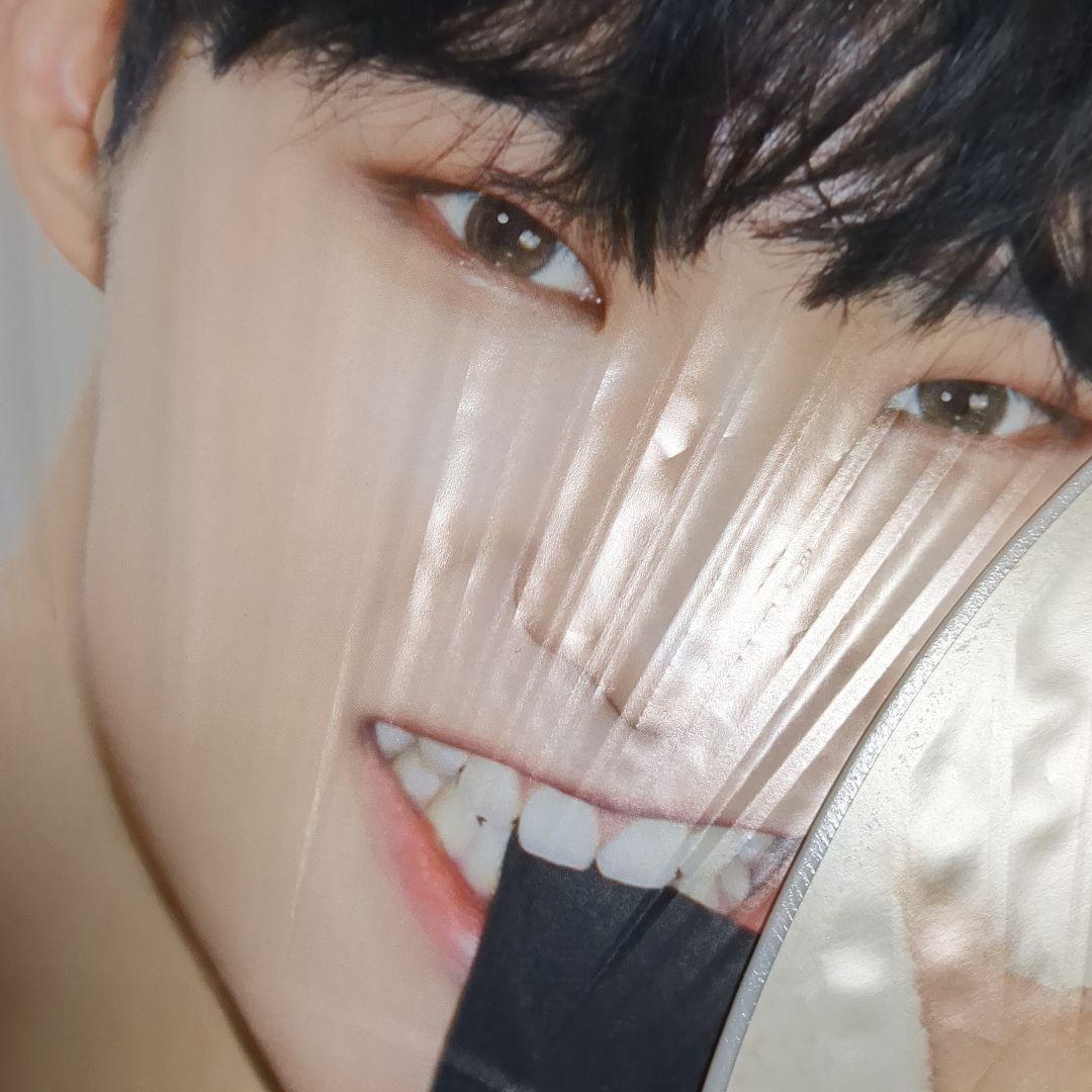 ホシ うちわ 15枚セット