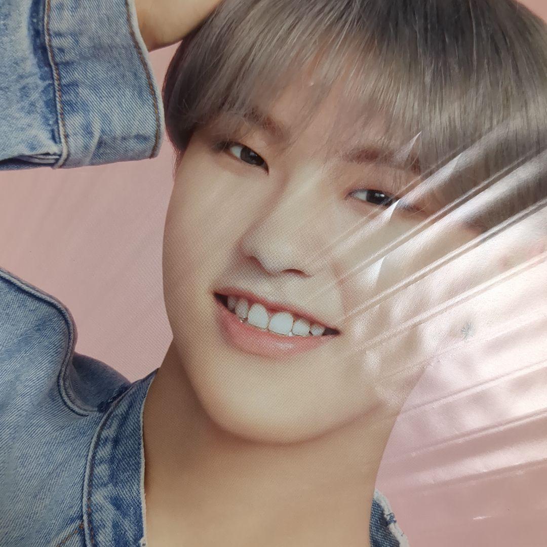 ホシ うちわ 15枚セット