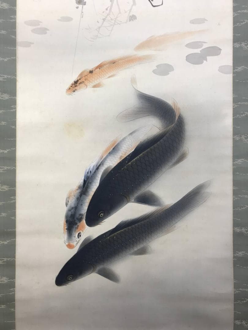 真作/森口白鯰/游鯉図/遊鯉図/鯉図/松鯉図/掛軸/名家伝来AE-387