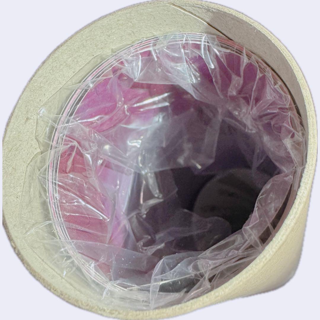 東京喰種 限定1万枚B2ポスター 石田スイ 『東京喰種【S】』 実写 映画