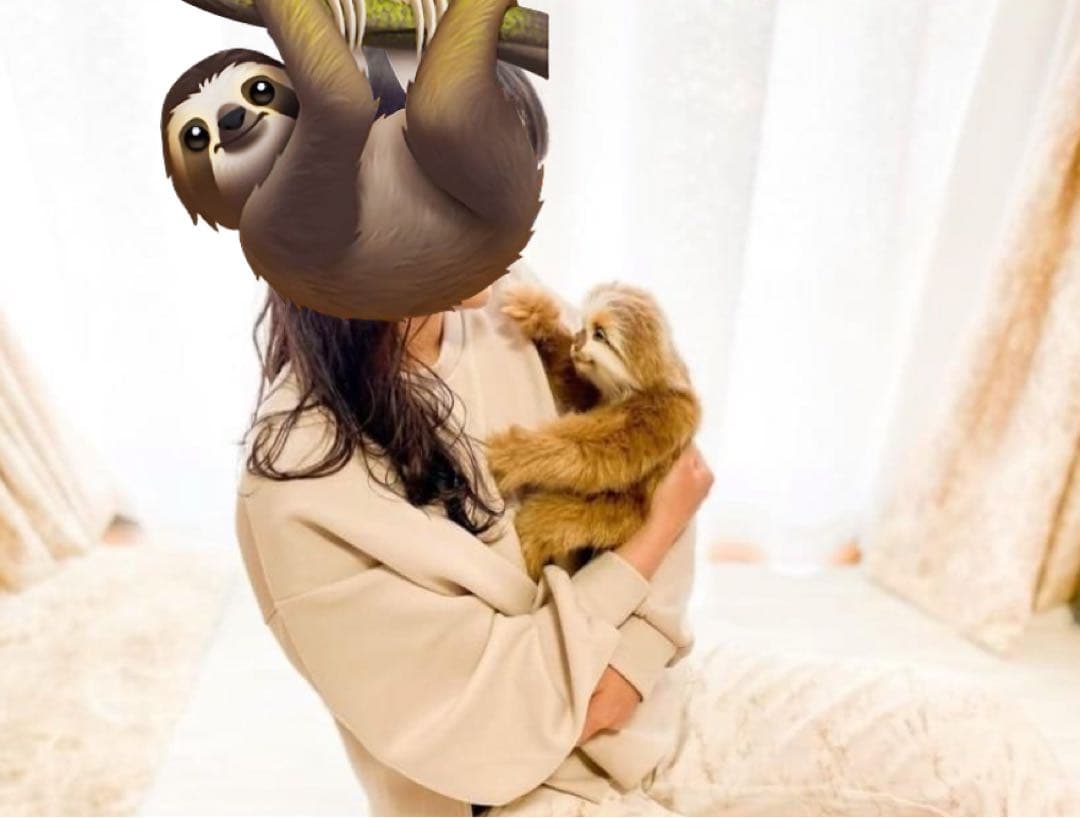 アートドール　ナマケモノ　ぬいぐるみセット　91000円値下げ