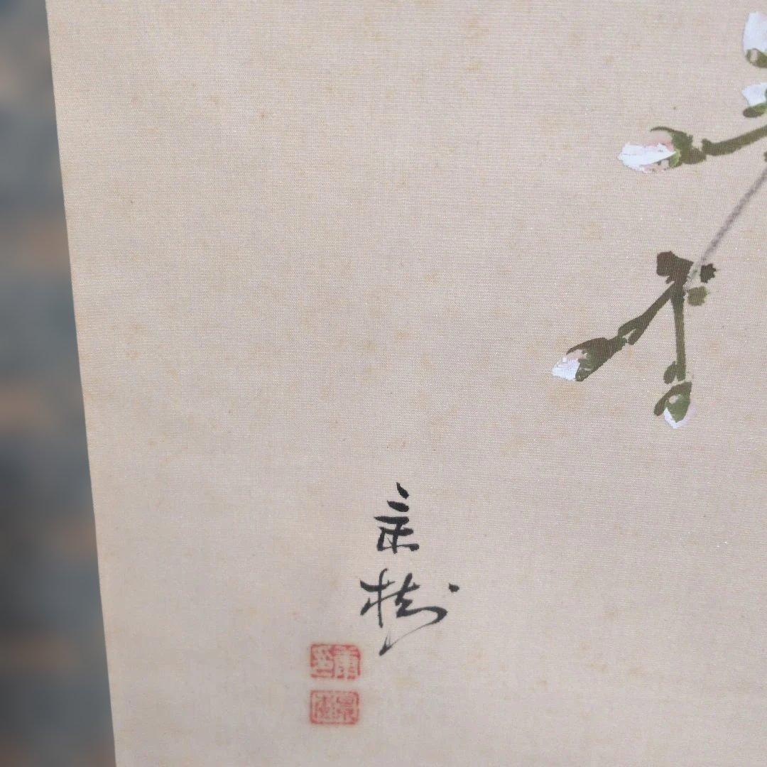 今井景樹　　春宵(桜) 掛軸