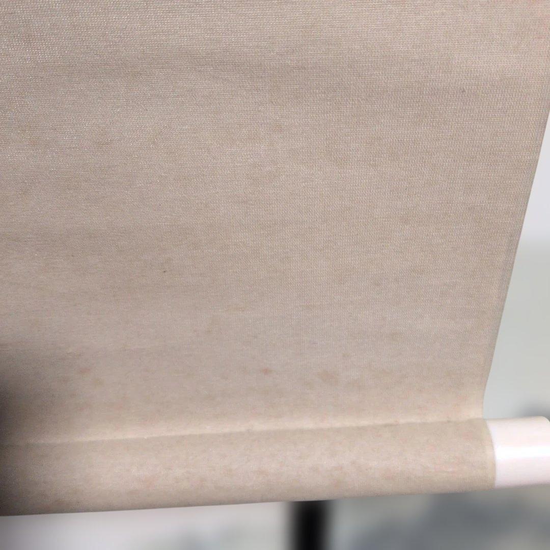 今井景樹　　春宵(桜) 掛軸