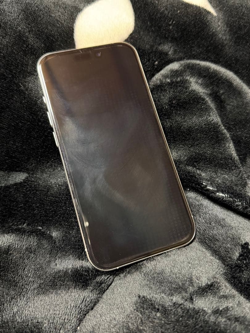 iPhone15Pro本体