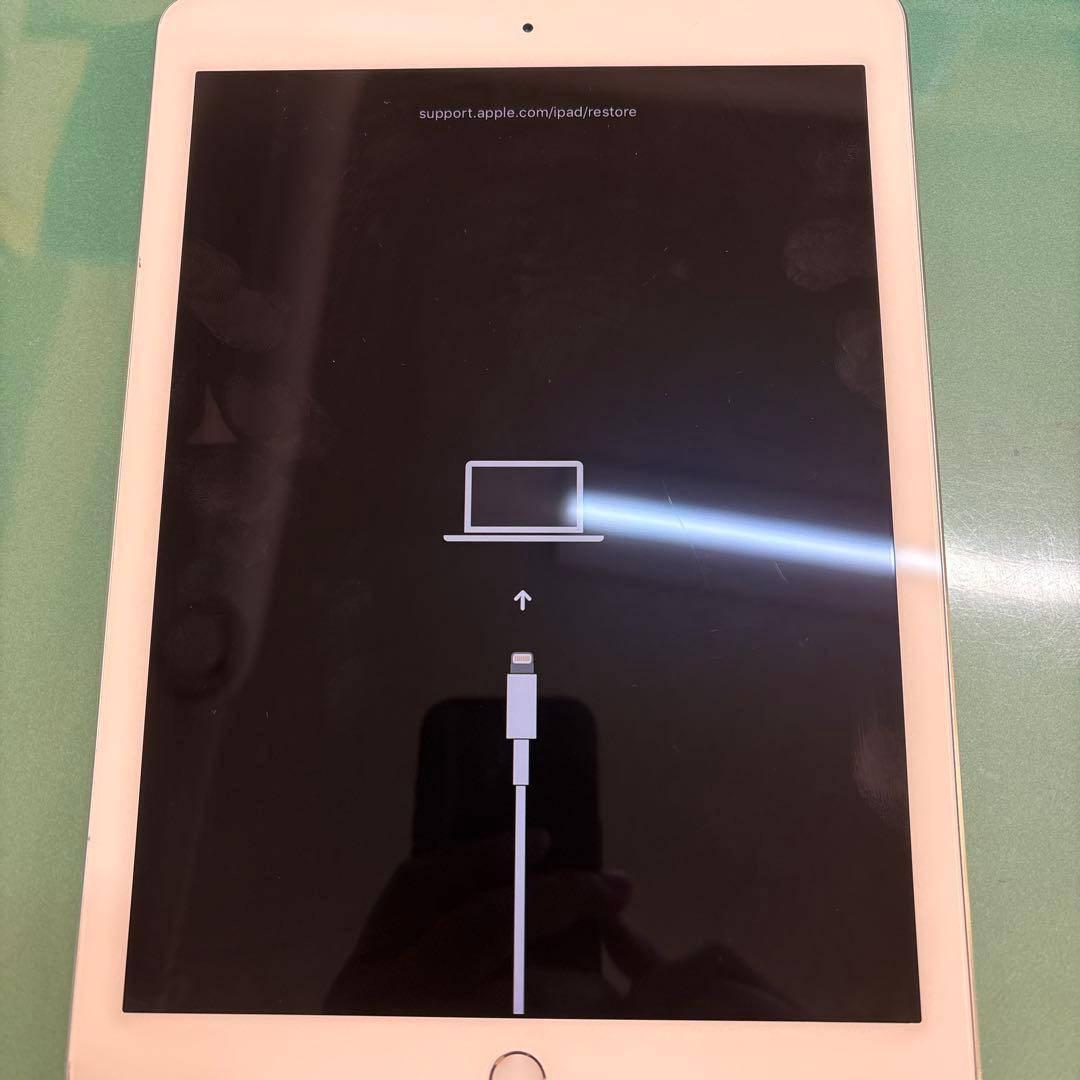 ジャンク品Apple iPad Pro9.7 128G 本体