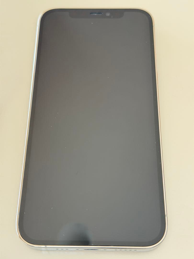iPhone 12 Pro 256GB simフリー　シルバー