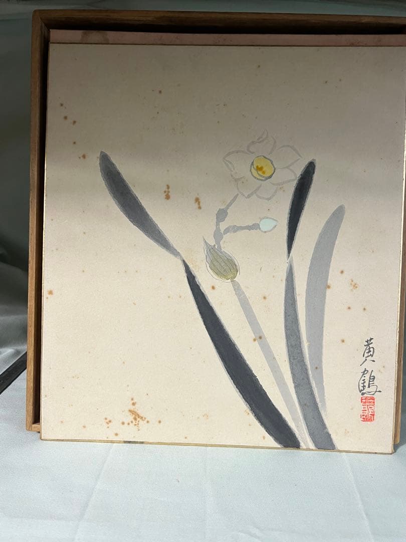 色紙