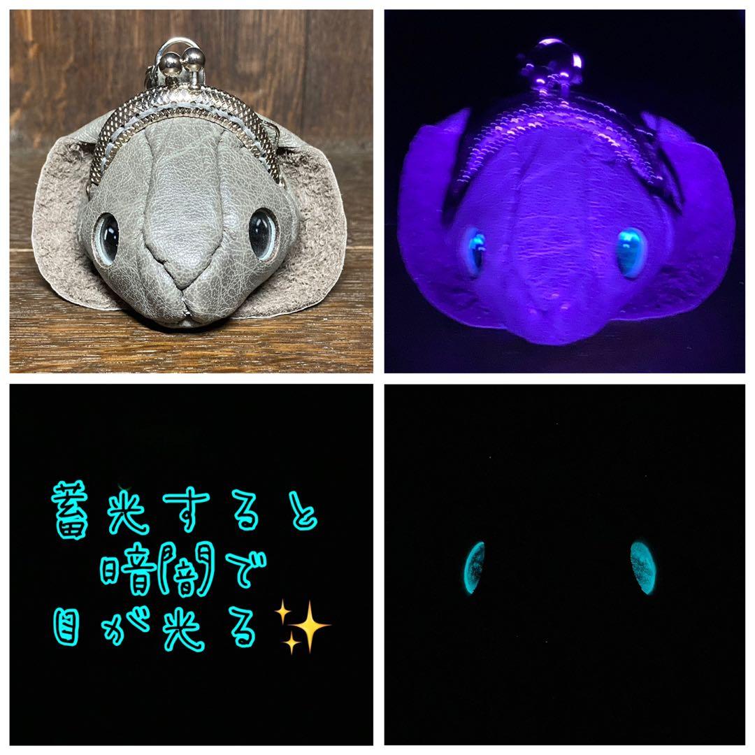 ロップイヤー　ヘッド②