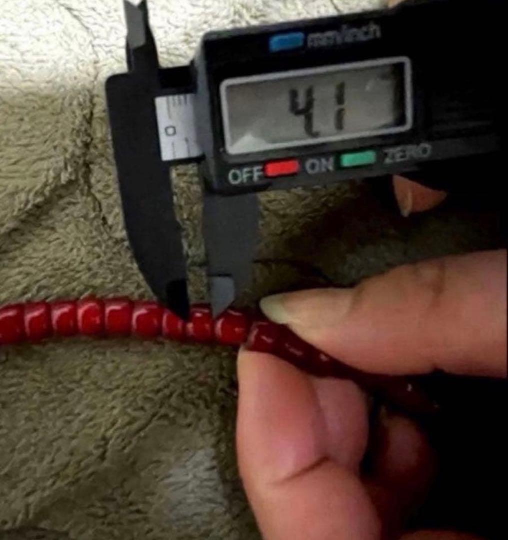 ★激血赤ビンテージホワイトハーツ★ イーグルやフェザーのカスタムに。アンティーク