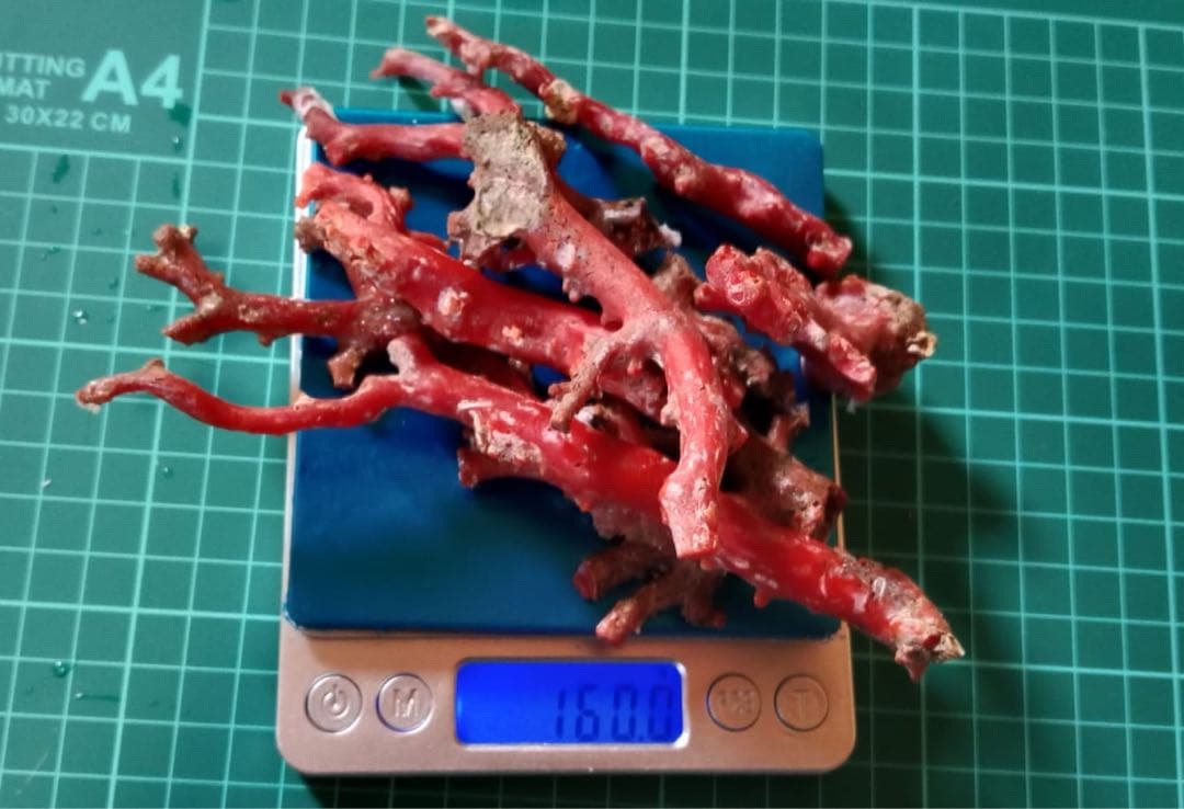 赤色サンゴオブジェ