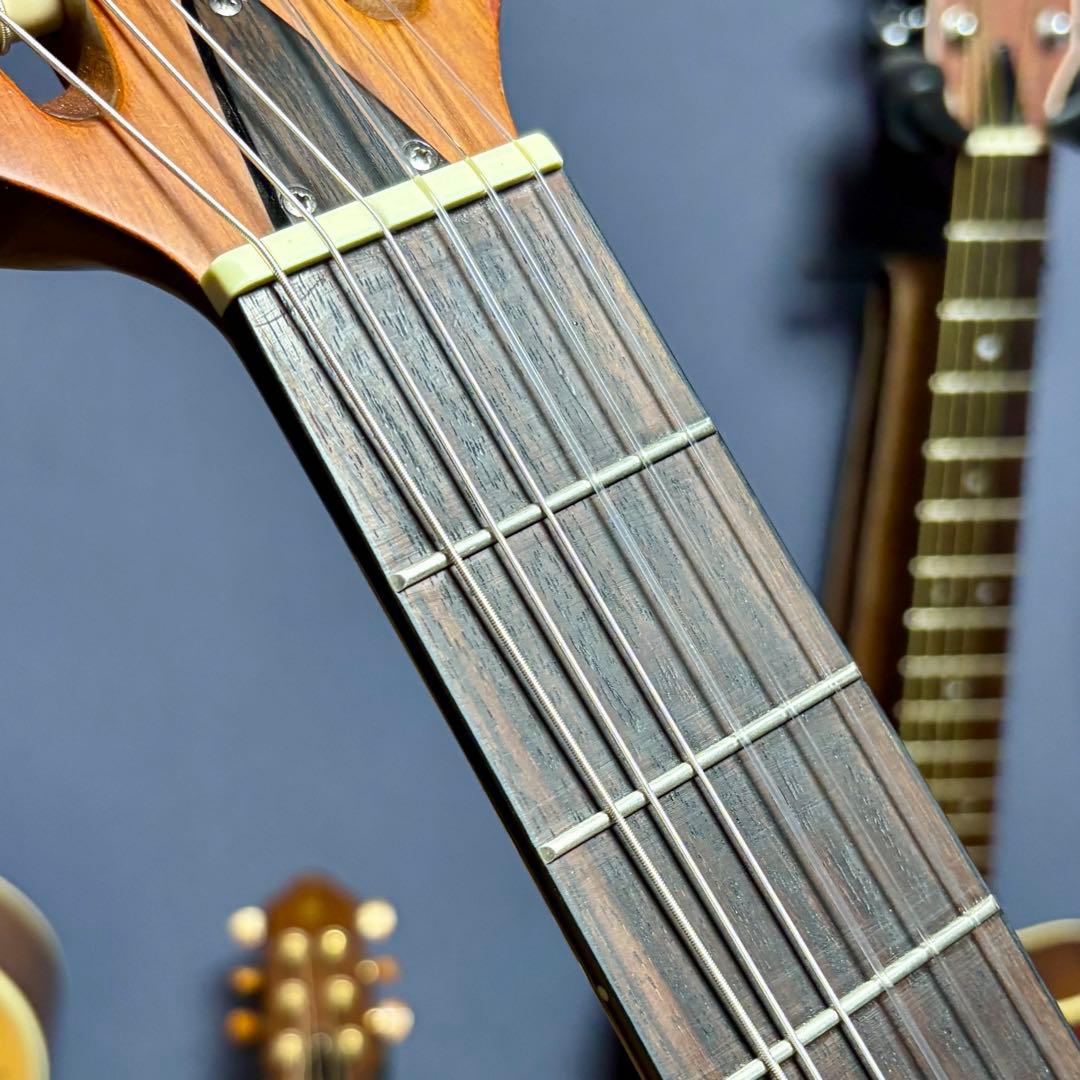 【美品】yamaha apx 5NA 細いネックで弾きやすいエレガット