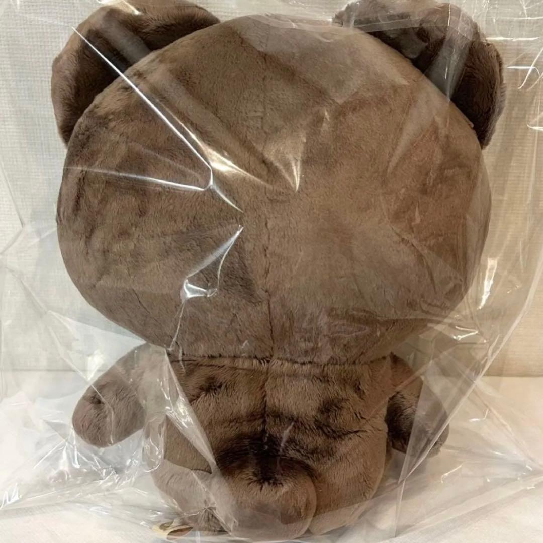 NCT ヘチャン 40cm ぬいぐるみ 다님 ダニム ワンヒョギ 왕효기