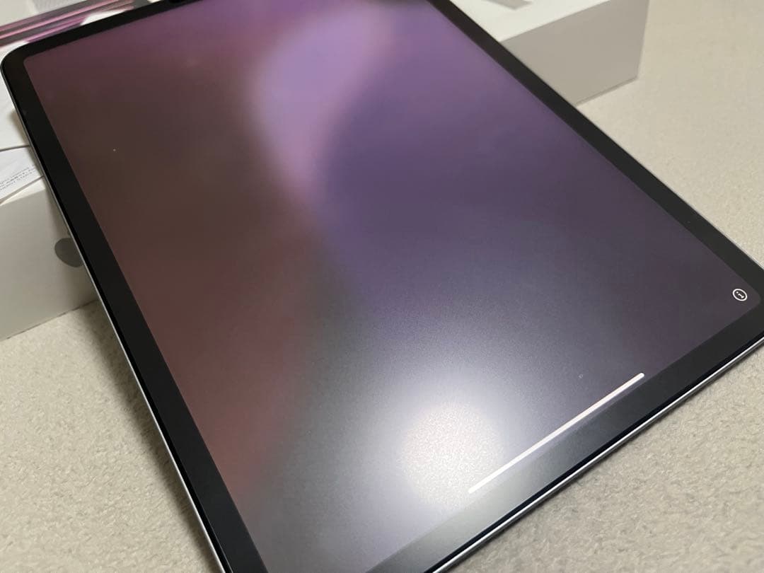 本日限定 電池100% 第4世代iPad pro 11インチ 256GB