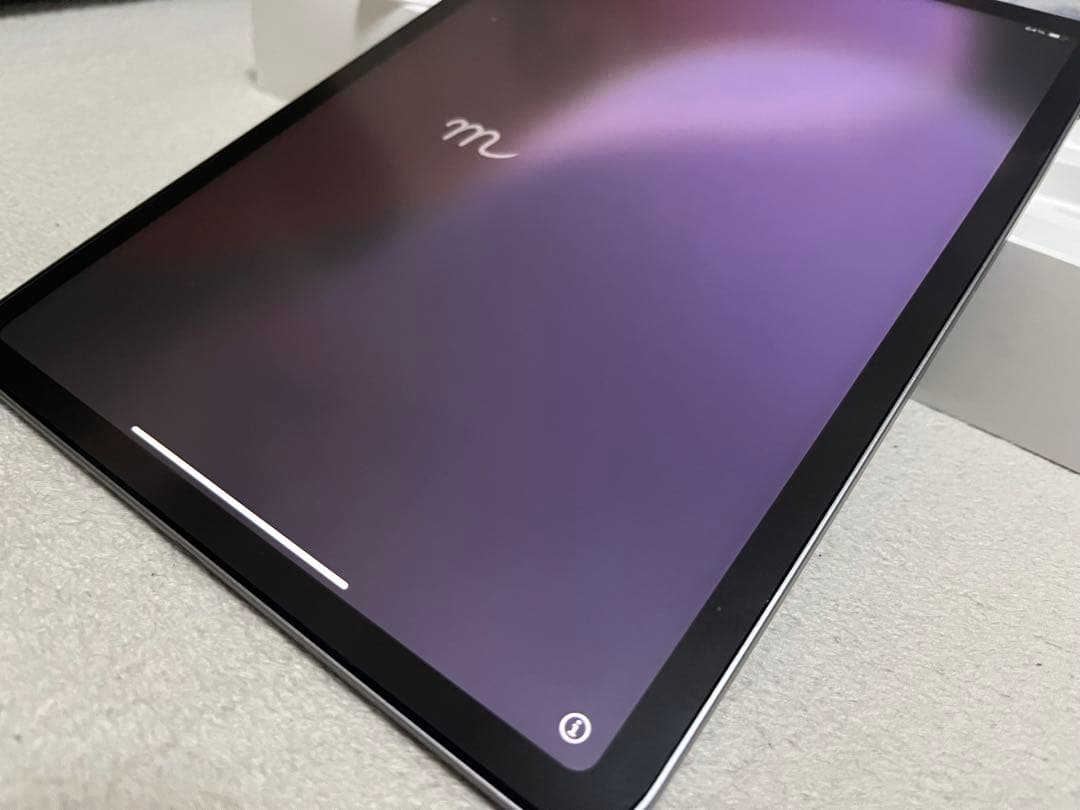 本日限定 電池100% 第4世代iPad pro 11インチ 256GB