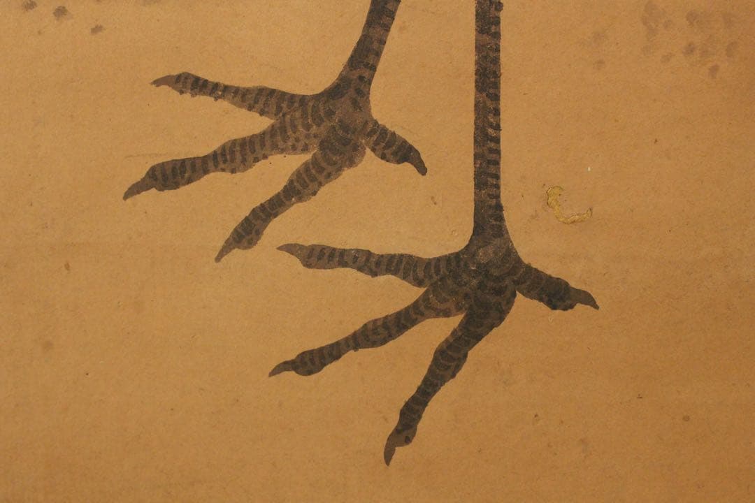 No5649掛軸　在銘　南弍　双鶴若松図　紙本着色　合箱　日本画　花鳥　送料無料