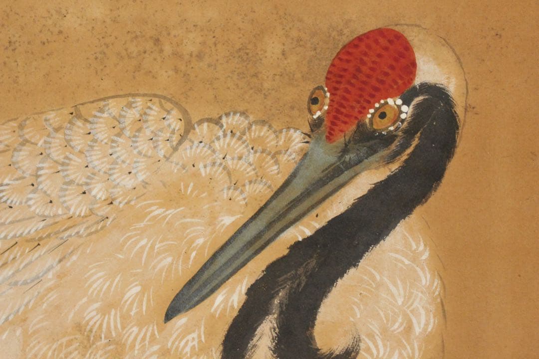 No5649掛軸　在銘　南弍　双鶴若松図　紙本着色　合箱　日本画　花鳥　送料無料