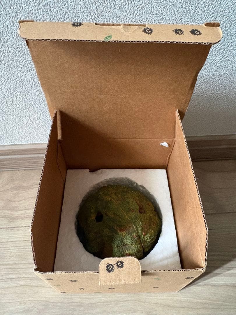 となりのトトロ　見開きジオラマ　メイのお昼寝