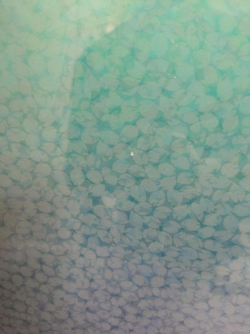 【真作】笠井正博 les petales de la mer 海の花びら 版画