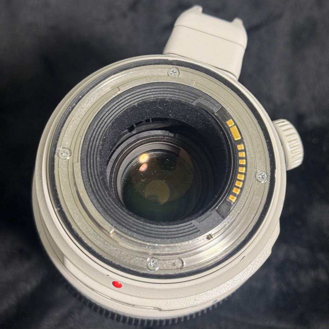 Canon 100-400 F4.5-5.6 L IS II USM 望遠レンズ