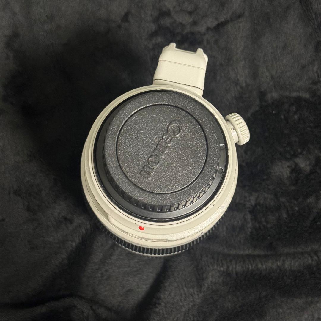 Canon 100-400 F4.5-5.6 L IS II USM 望遠レンズ