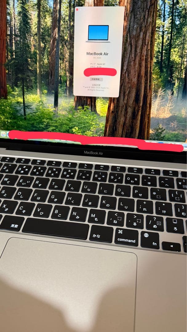Macbook Air M1 (2020) 13インチ8GB/512GB