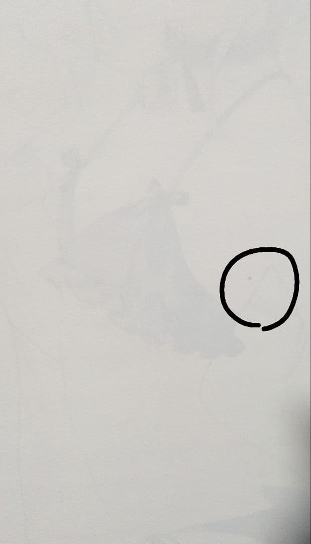 【詳細必読】rurudo タペストリー 3点セット