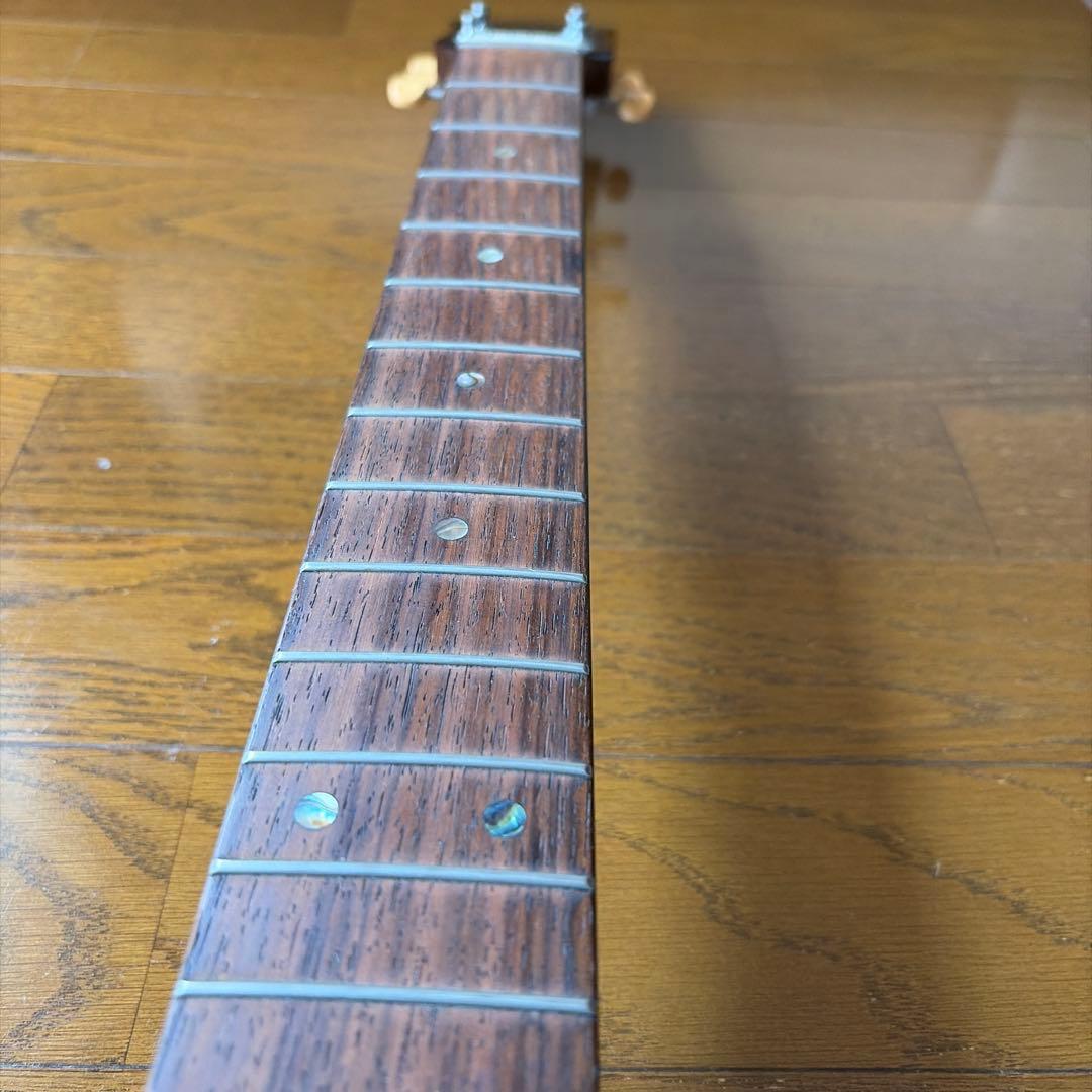 JUNO JF100 エレアコギター レトロ