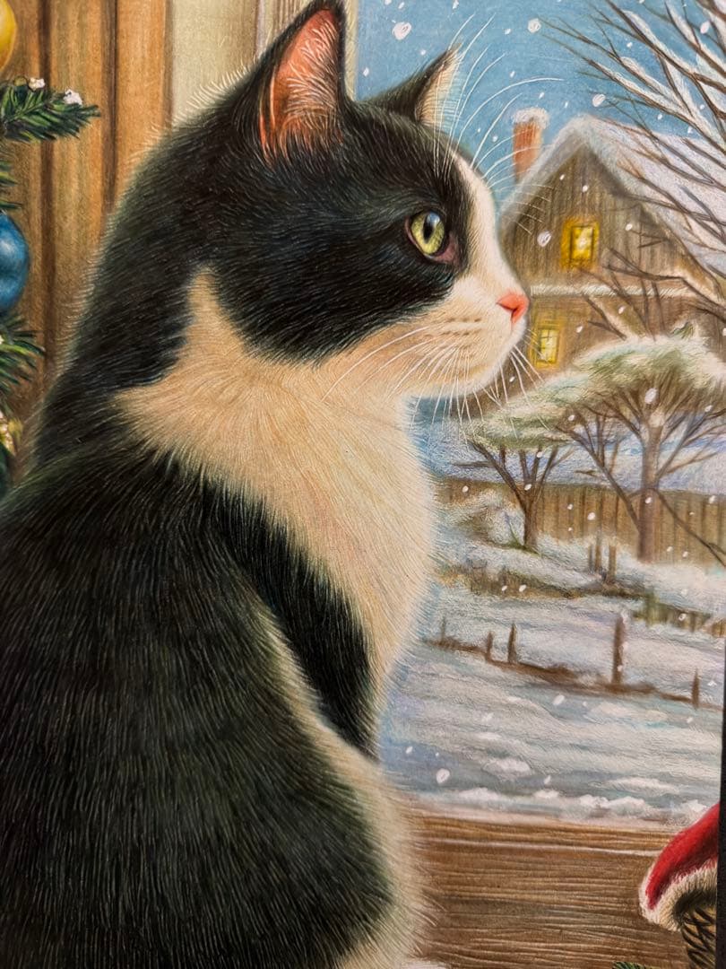 色鉛筆画 A4 ハチワレ猫001