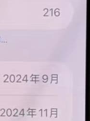 Apple iPhone 16 Pro Max White 256GB CA版