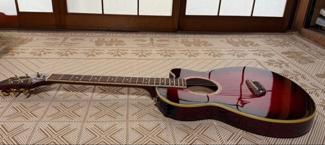 Paul Smith × ESP エレクトリックアコースティックギター　エレアコ