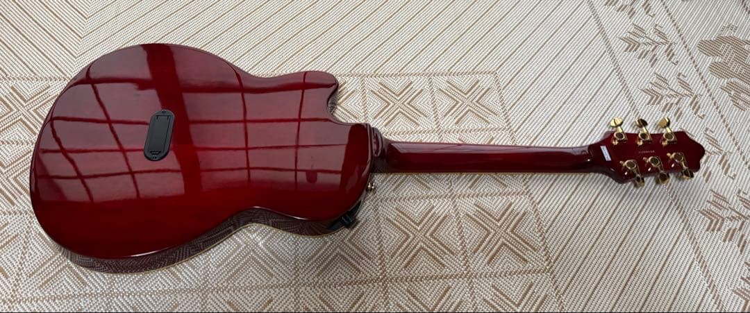 Paul Smith × ESP エレクトリックアコースティックギター　エレアコ