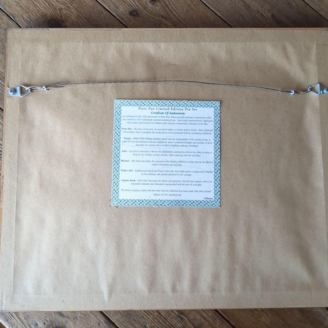 ネバーランド ピーターパン ピンバッジセット アニバーサリー アメリカ限定