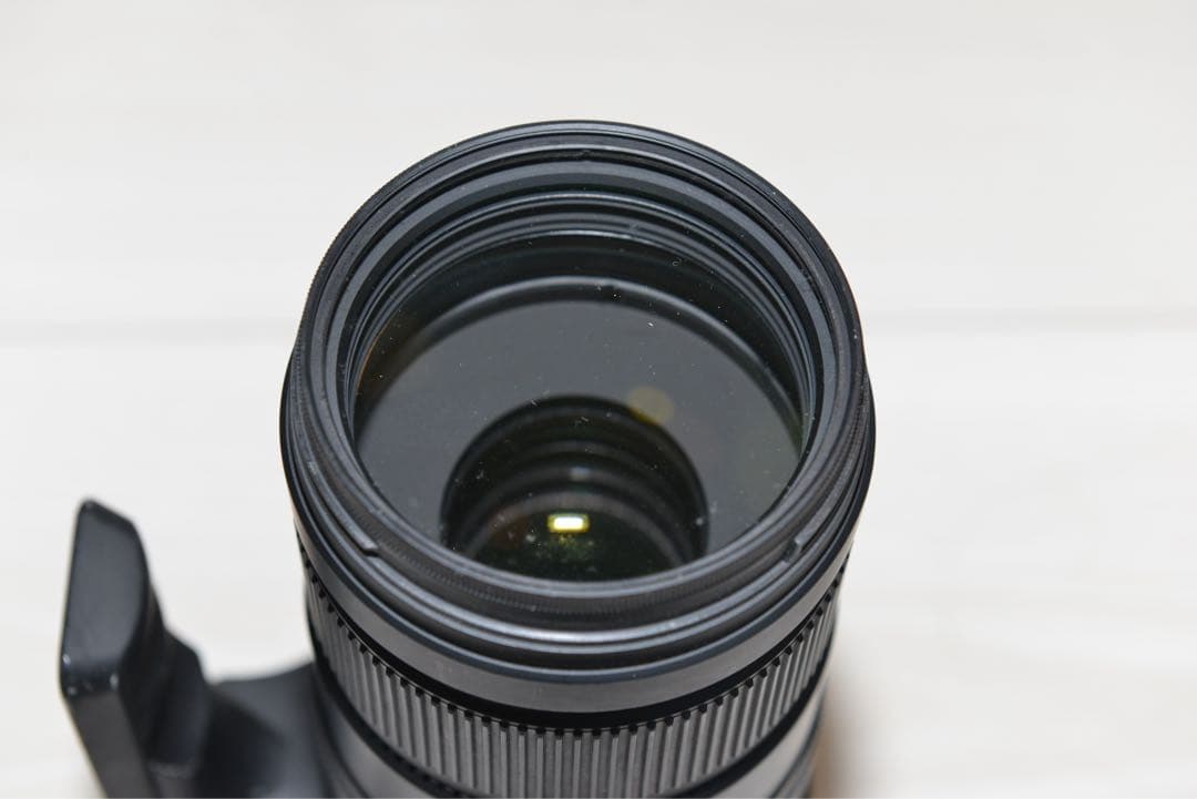 APO 120-400mm F4.5-5.6 DG OS HSM Fマウント