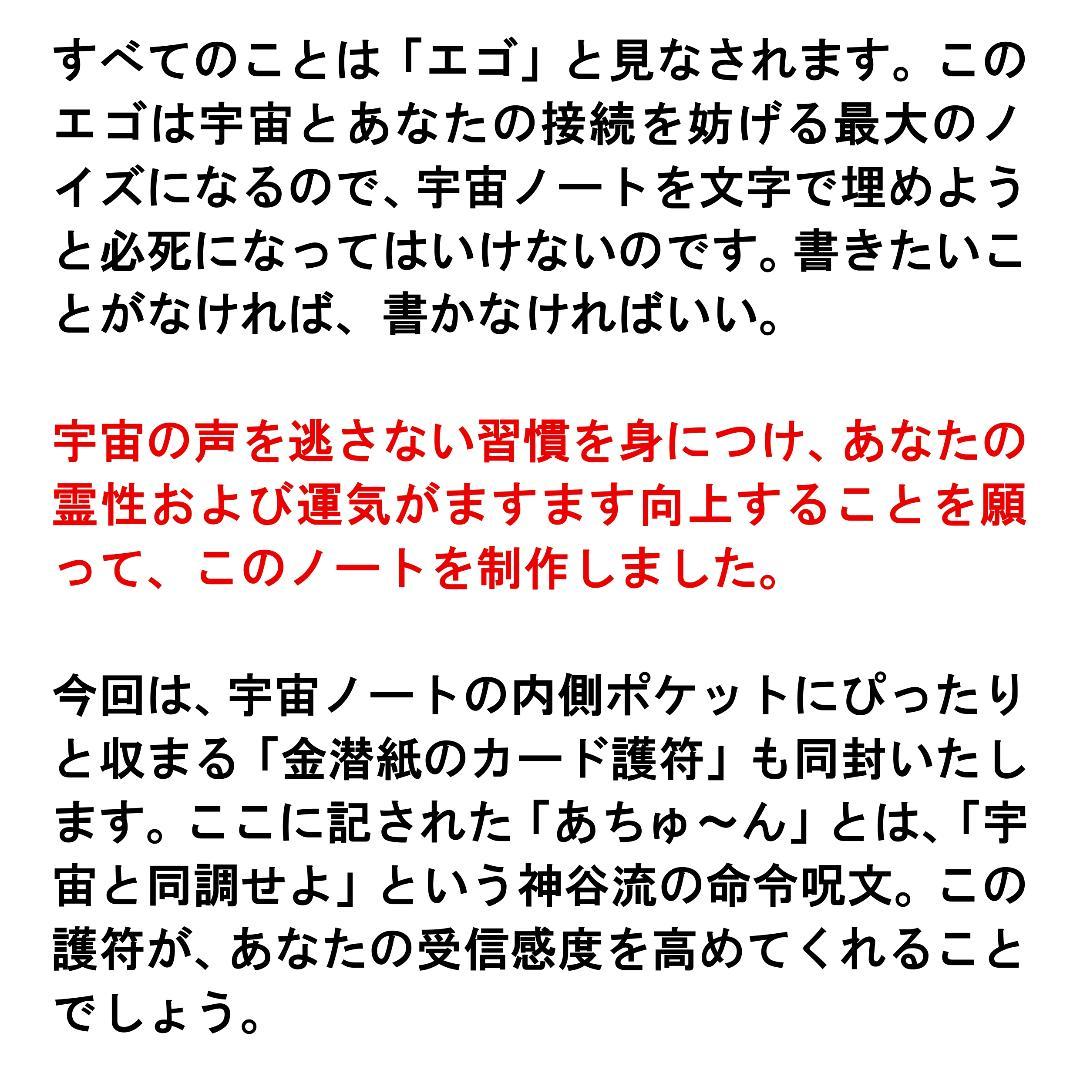【いいね！キャンペーン有り】龍神画+龍神護符+［非売品］宇宙ノート※開運絵画