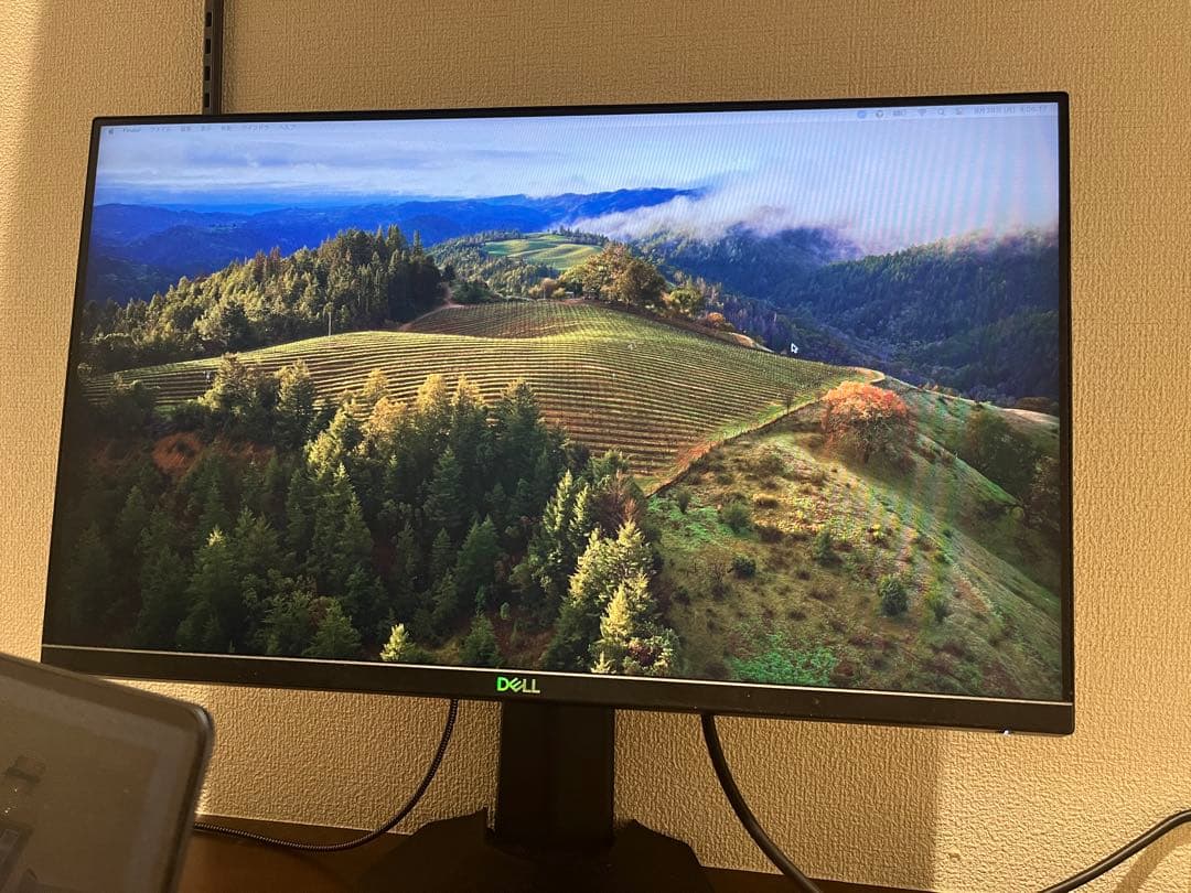 DELL モニター 本体