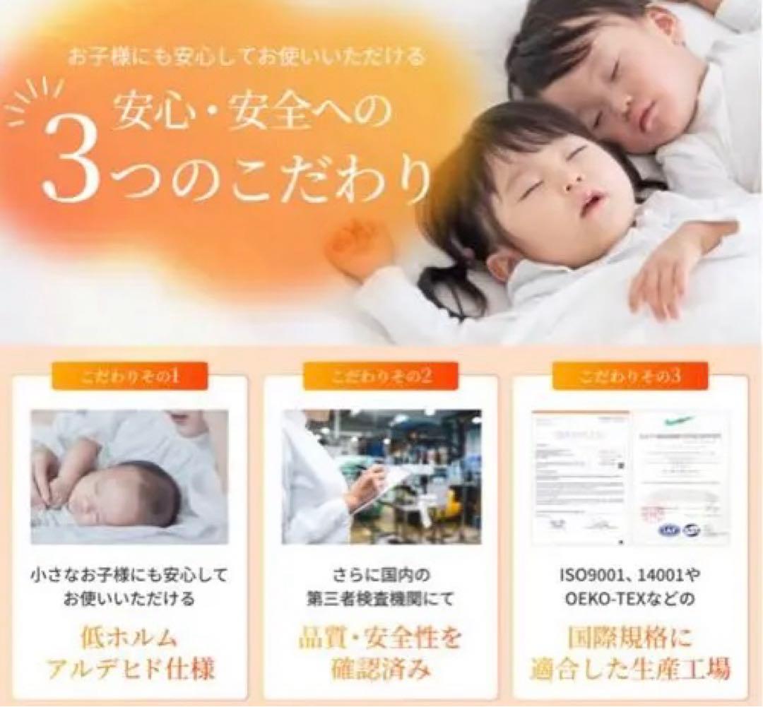 新品未開封　GOKUMIN 毛布 Takumi Fab Warm フランネル毛布