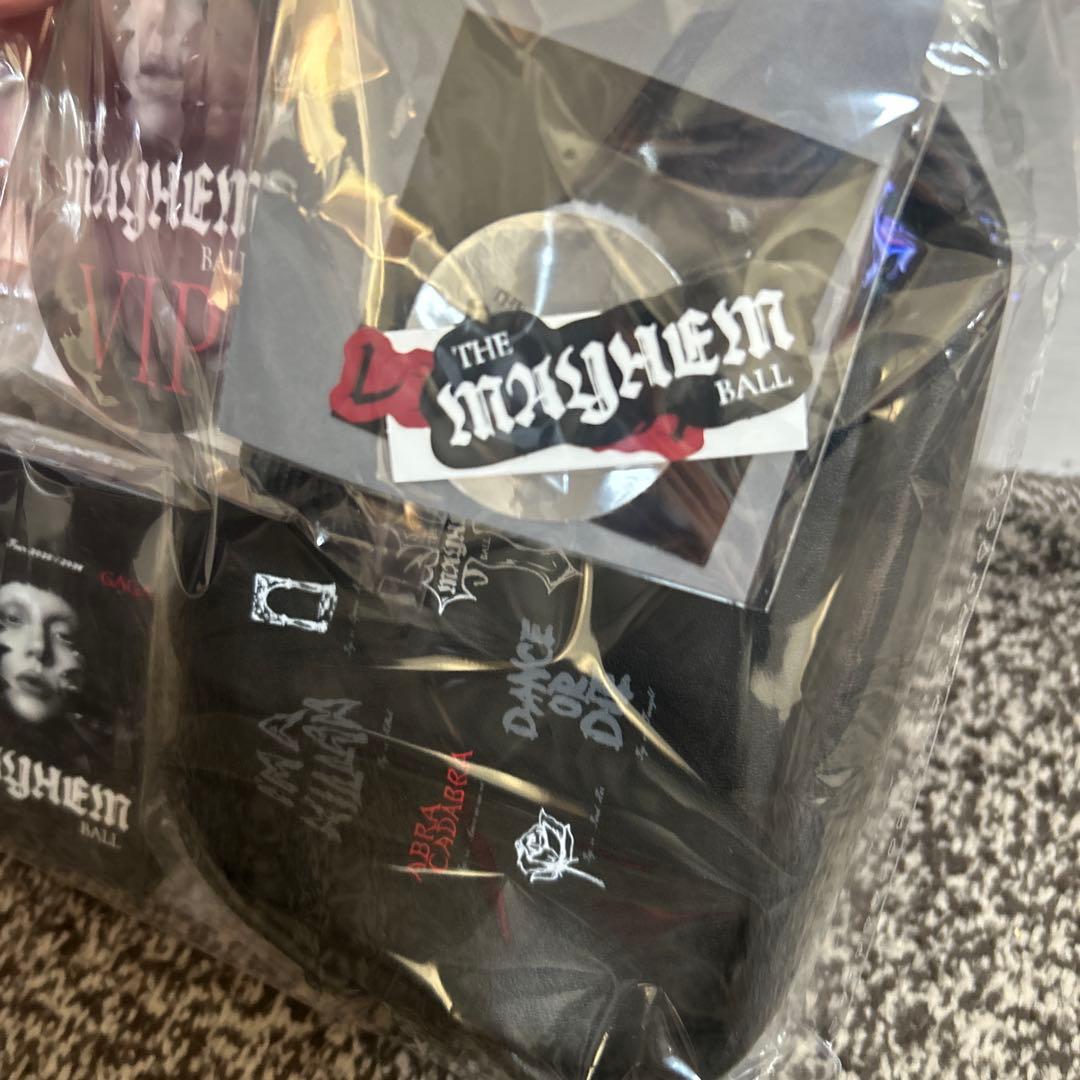 レディー・ガガ　2026 シルバーVIP　グッズ　新品未開封