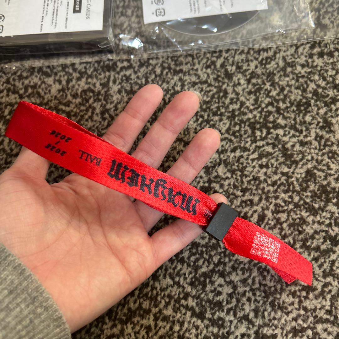 レディー・ガガ　2026 シルバーVIP　グッズ　新品未開封